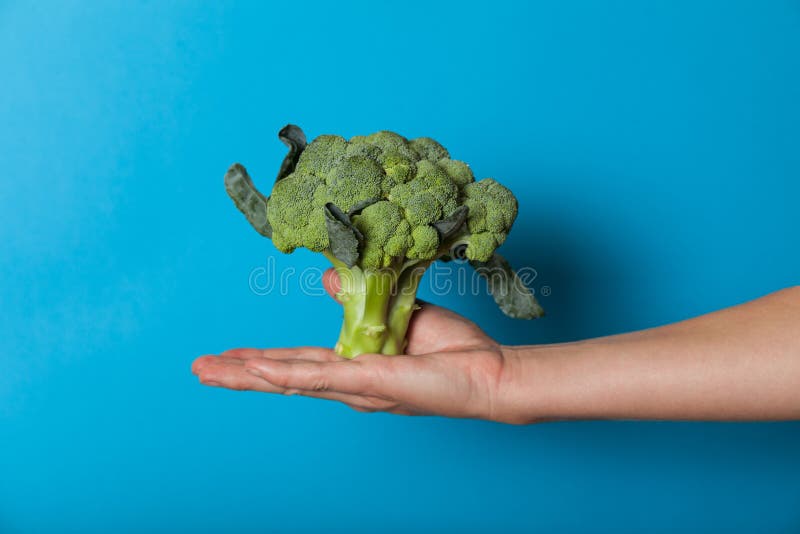 Vegetarian lifestyle concept, hands holding vegetable for diet stock photos Vegetarian lifestyle concept, hands holding vegetable for diet stock photos