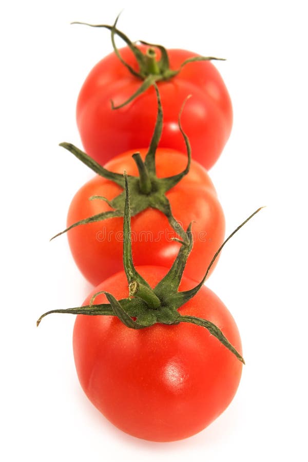 Vegetarian line-three tomatoes