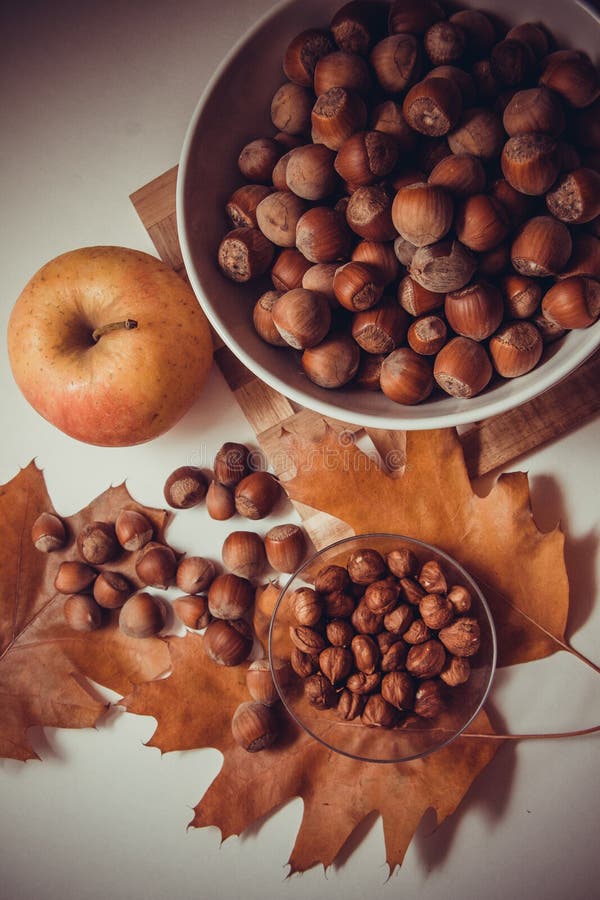 Vegetarian Proteins Hazelnuts Stock Photo Image of hardness