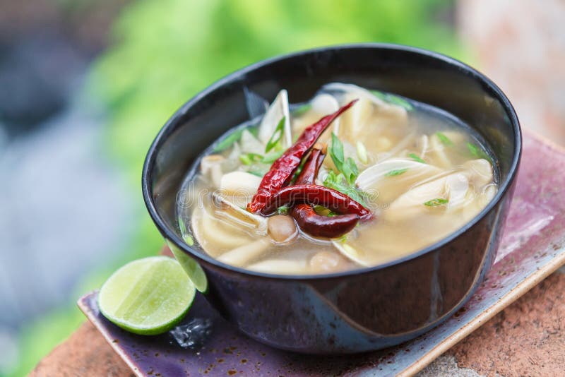 Vegetarian Thai Food mushroom tom yum soup