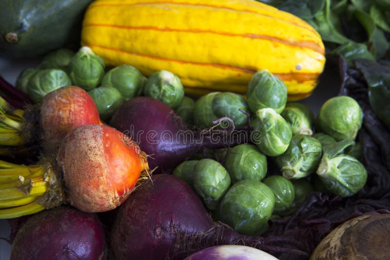 Fresh squash, brussels sprouts, and beets for a delicious winter soup. Fresh squash, brussels sprouts, and beets for a delicious winter soup.