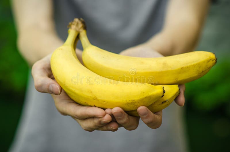 Vegetarians and fresh fruit and vegetables on the nature of the theme: human hand holding a bunch of bananas on a background of gr