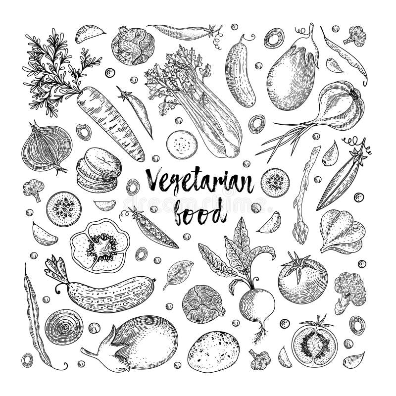 Vegetarisch voedsel Plantaardige hand getrokken uitstekende vectorillustratie De affiche van de landbouwbedrijfmarkt Het gezonde royalty-vrije illustratie Vegetarisch voedsel Plantaardige hand getrokken uitstekende vectorillustratie De affiche van de landbouwbedrijfmarkt Het gezonde royalty-vrije illustratie