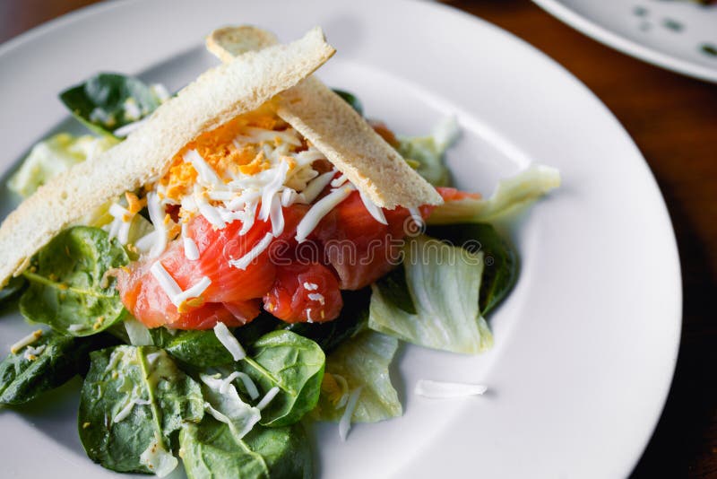 Vegetarische Plakken van de close-up de smakelijke grill van gerookte zalm met brood, letuce arugula en kaas in Europese stijl, m stock fotografie Vegetarische Plakken van de close-up de smakelijke grill van gerookte zalm met brood, letuce arugula en kaas in Europese stijl, m stock fotografie