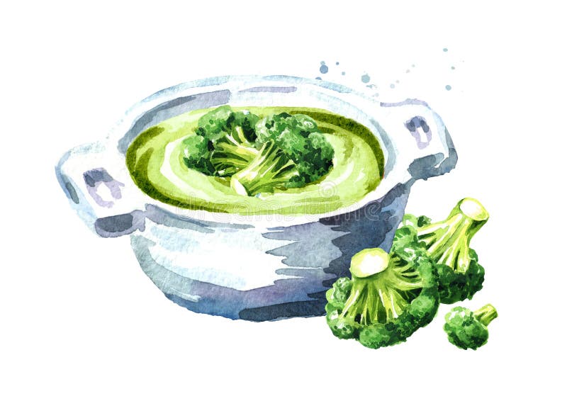 Vegetarische Sahnesuppe mit frischem Brokkoli ?bergeben Sie die gezogene Aquarellillustration, lokalisiert auf wei?em Hintergrund stock abbildung Vegetarische Sahnesuppe mit frischem Brokkoli ?bergeben Sie die gezogene Aquarellillustration, lokalisiert auf wei?em Hintergrund stock abbildung