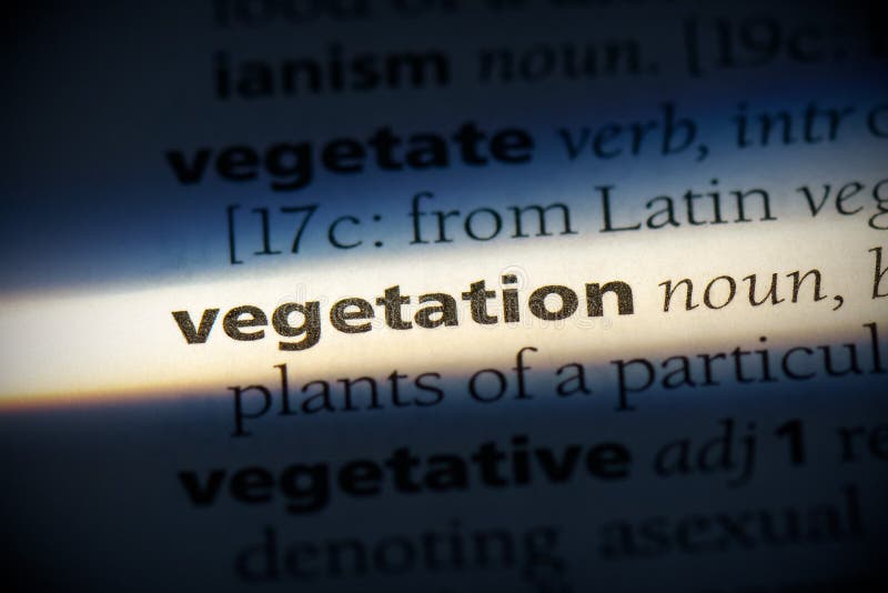 Vegetation stock image. Image of text, detail, info 161574455