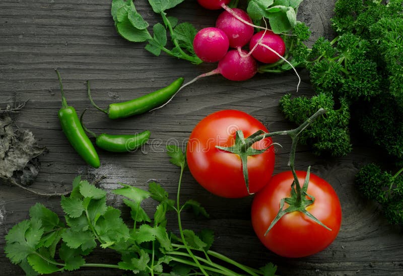 Veggie stock image. Image of antioxidant, healthy, radish 41293447