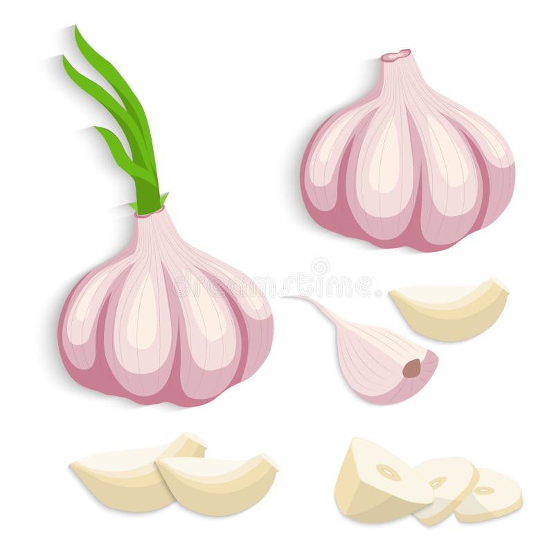 Garlic Crusher Stock Illustrations – 82 Garlic Crusher Stock Illustrations,  Vectors & Clipart - Dreamstime