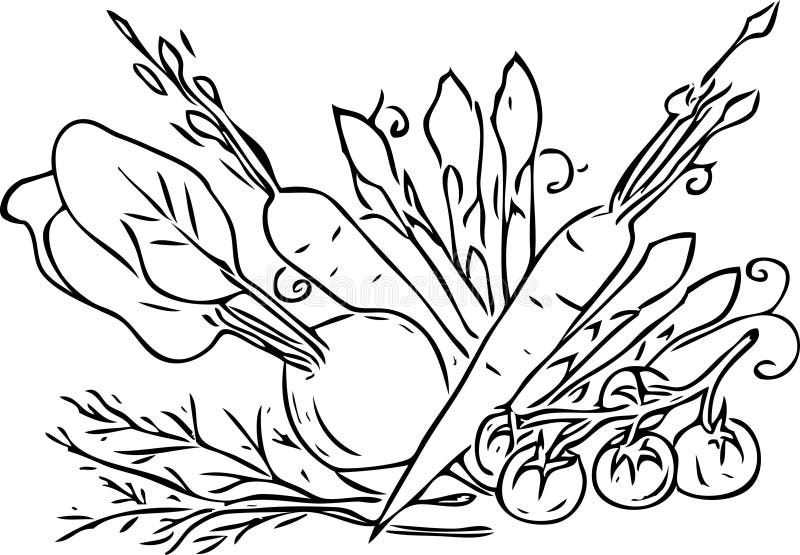 8 Vegetables Black N White Stock Illustration Illustration of