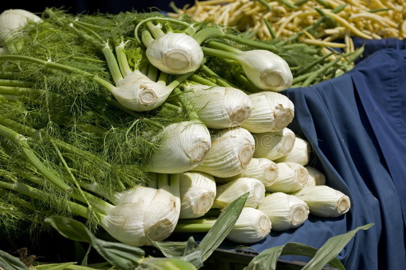 Fresh vegtables fot sale at a farmers market. Fresh vegtables fot sale at a farmers market.