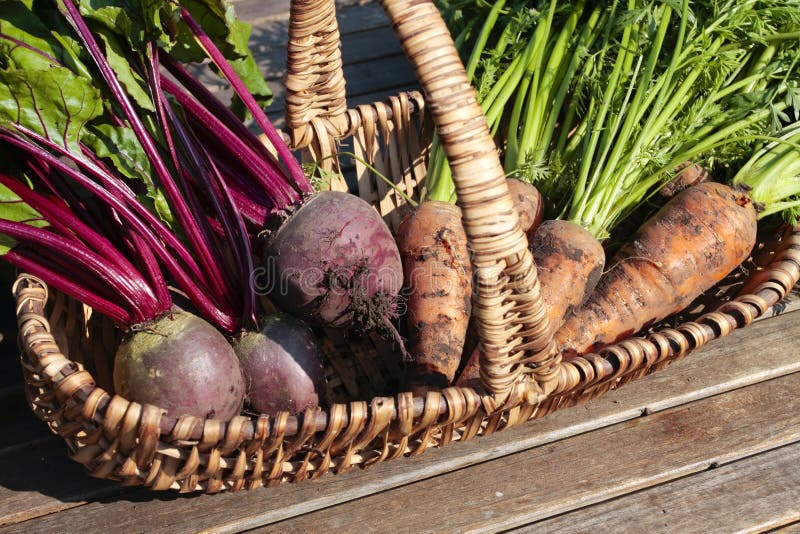 Cestas Colgantes De La Flor Foto de archivo - Imagen de retail, jardín