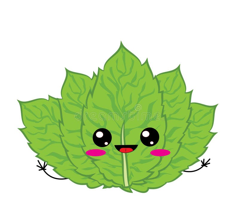 Cute Cartoon Illustration of Fresh Mint Leaves Stock Illustration ...