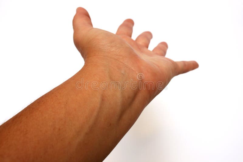 Veins stock image. Image of reach, finger, open, wrist 11048301