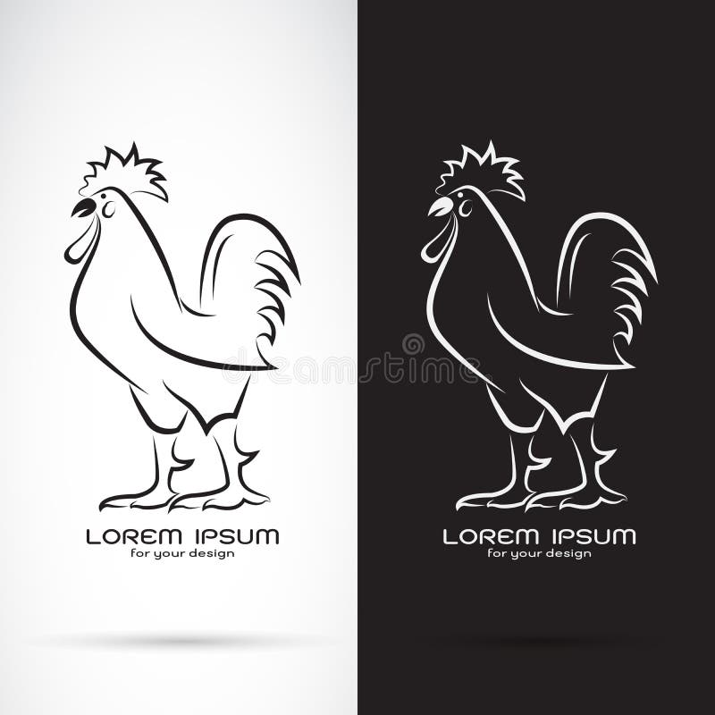 Vektor av tupp- eller hanedesignen på vit bakgrund och svart bakgrund , Djur lantgård stock illustrationer Vektor av tupp- eller hanedesignen på vit bakgrund och svart bakgrund , Djur lantgård stock illustrationer