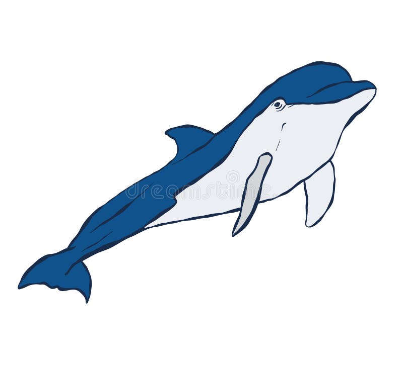 Vektor-Delphin. Unterwassertierbild isoliert auf weißem Hintergrund. für Entwurfsmuster, Gewebe oder Hintergrund. stock abbildung
