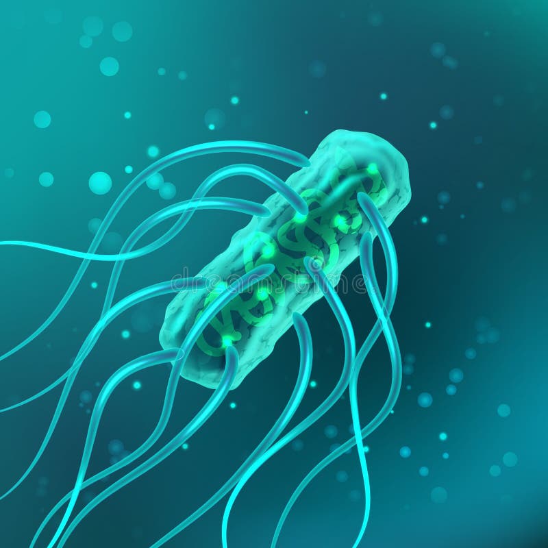 Vektor der Bakterie, Salmonellen typhosa mit den Flagella mikroskopisch Medizinische, wissenschaftliche Mikrobe und Mikrobe, Türk lizenzfreie abbildung Vektor der Bakterie, Salmonellen typhosa mit den Flagella mikroskopisch Medizinische, wissenschaftliche Mikrobe und Mikrobe, Türk lizenzfreie abbildung