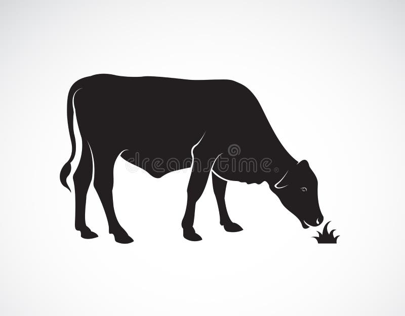 Vektor einer Kuh isst Gras auf weißem Hintergrund Karikaturabbildungserie 7