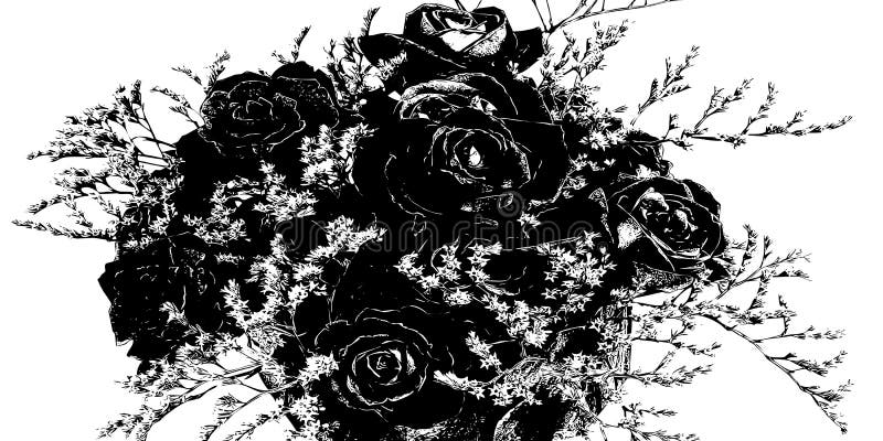 Vektor eines Blumenstraußes der Rosen in Schwarzweiß. lizenzfreie abbildung