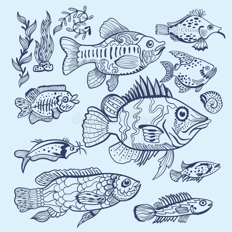 Vektor Fisch Skizzen Satz Vektor Abbildung Illustration Von Wasser 97084094