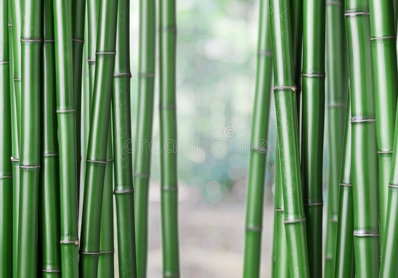 vektor för illustration för bakgrundsbambugreen arkivfoton vektor för illustration för bakgrundsbambugreen arkivfoton