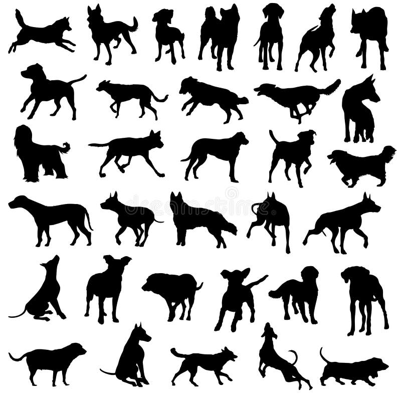 vektor för silhouette för samlingshundar älsklings- royaltyfri illustrationer vektor för silhouette för samlingshundar älsklings- royaltyfri illustrationer