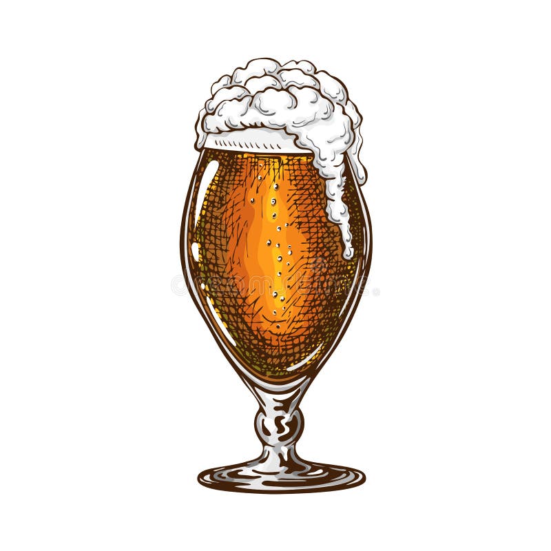 Vektor handgezogenes Tulpenbierglas mit dunklem Bier und flüssigem Schaumstoff Schöner Bierkrug oder -schnupfen mit Tropffrost vektor abbildung