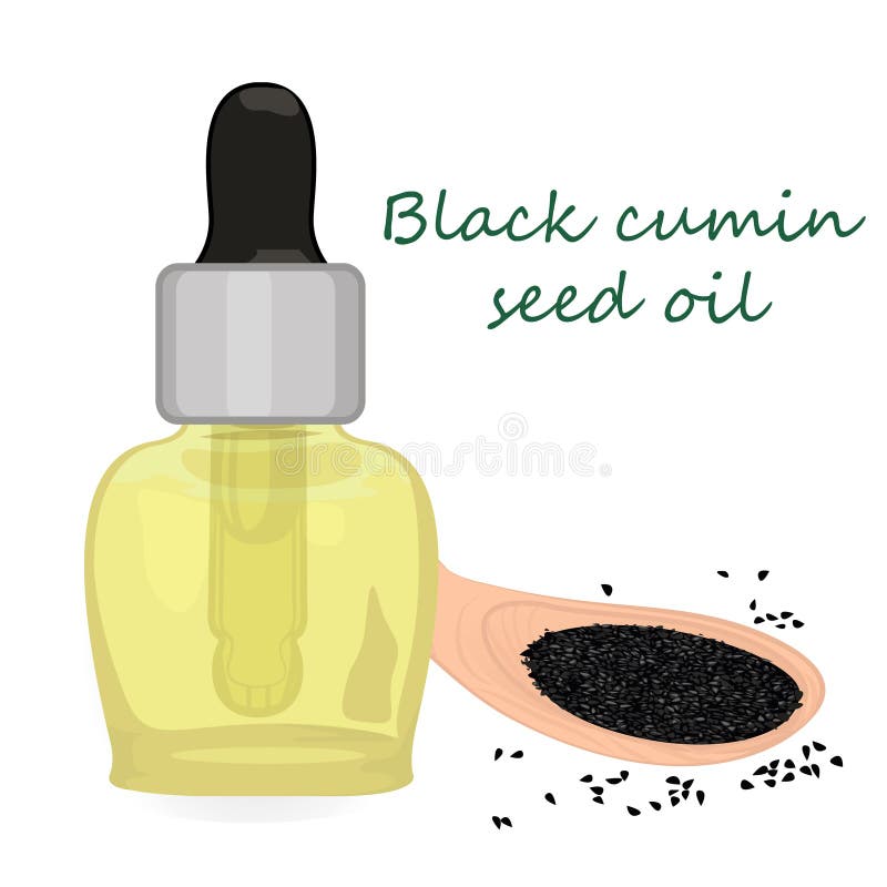 Vektor-Illustration Aromatherapie des Schwarzkümmelsamen-ätherischen Öls lizenzfreie abbildung