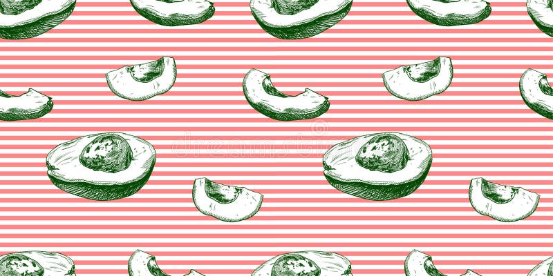 Vektor-nahtloses Muster, Avocados auf Rot und White Stripes, exotischer Frucht-Hintergrund stock abbildung Vektor-nahtloses Muster, Avocados auf Rot und White Stripes, exotischer Frucht-Hintergrund stock abbildung