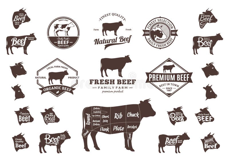 Vektor-Rindfleisch-Logo, Ikonen, Diagramme und Gestaltungselemente