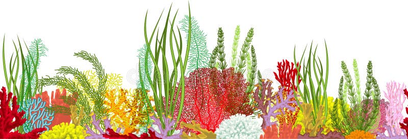 Vektor under vattenkorallrev, horisontellt sömlöst mönster Undervattensbottenstruktur stock illustrationer Vektor under vattenkorallrev, horisontellt sömlöst mönster Undervattensbottenstruktur stock illustrationer