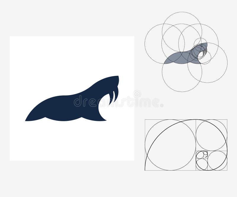 Vektor walrus i golden ratio-format. redigerbar illustration stock illustrationer