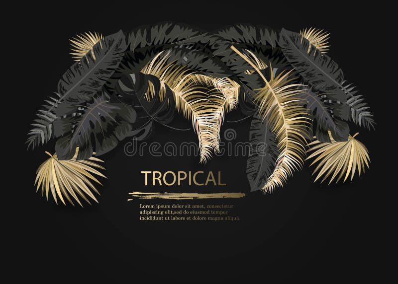 Vektoranordnung mit den Schwarzen und Goldtropischen Blättern auf dunklem Hintergrund Exotischer botanischer Luxusentwurf für Kos vektor abbildung Vektoranordnung mit den Schwarzen und Goldtropischen Blättern auf dunklem Hintergrund Exotischer botanischer Luxusentwurf für Kos vektor abbildung