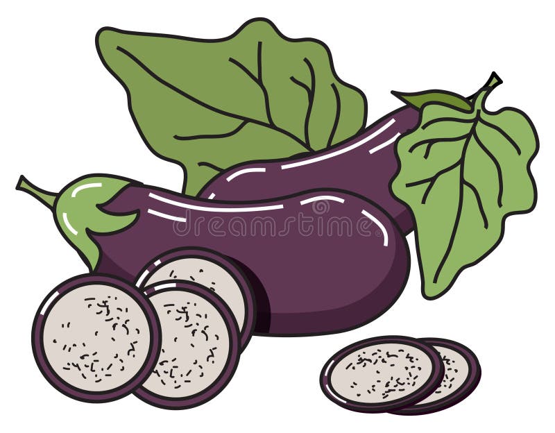 Vektorbild der Aubergine mit Blättern und Scheiben stock abbildung Vektorbild der Aubergine mit Blättern und Scheiben stock abbildung