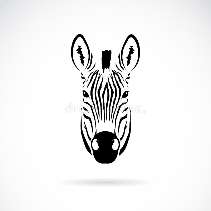 Vektorbild eines Zebrakopfes vektor abbildung Vektorbild eines Zebrakopfes vektor abbildung