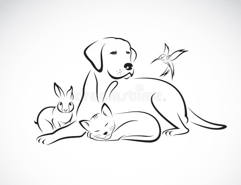 Vektorgrupp av husdjur - hund, katt, fågel, kanin