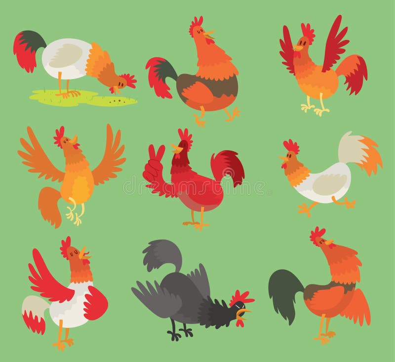 Vektorhahnhahnhühnerzeichentrickfilm-figur-Illustration Hahn lokalisiert auf Hintergrund Vieh-Vogelsymbol vektor abbildung Vektorhahnhahnhühnerzeichentrickfilm-figur-Illustration Hahn lokalisiert auf Hintergrund Vieh-Vogelsymbol vektor abbildung