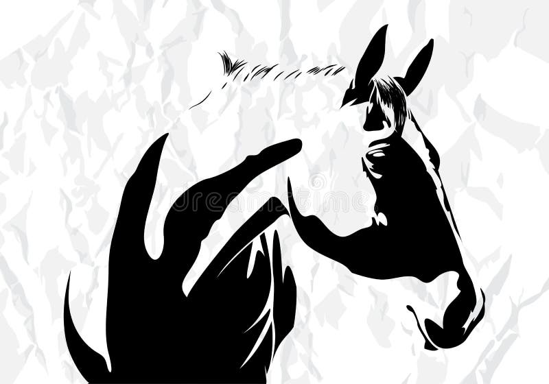 Vektorhäst royaltyfri illustrationer Vektorhäst royaltyfri illustrationer