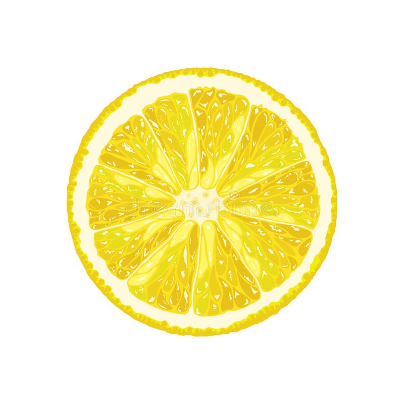 Vektorillustration av en halva av en citron stock illustrationer