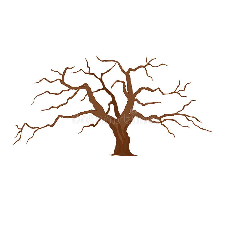Vektorillustration av ett träd utan sidor stock illustrationer Vektorillustration av ett träd utan sidor stock illustrationer