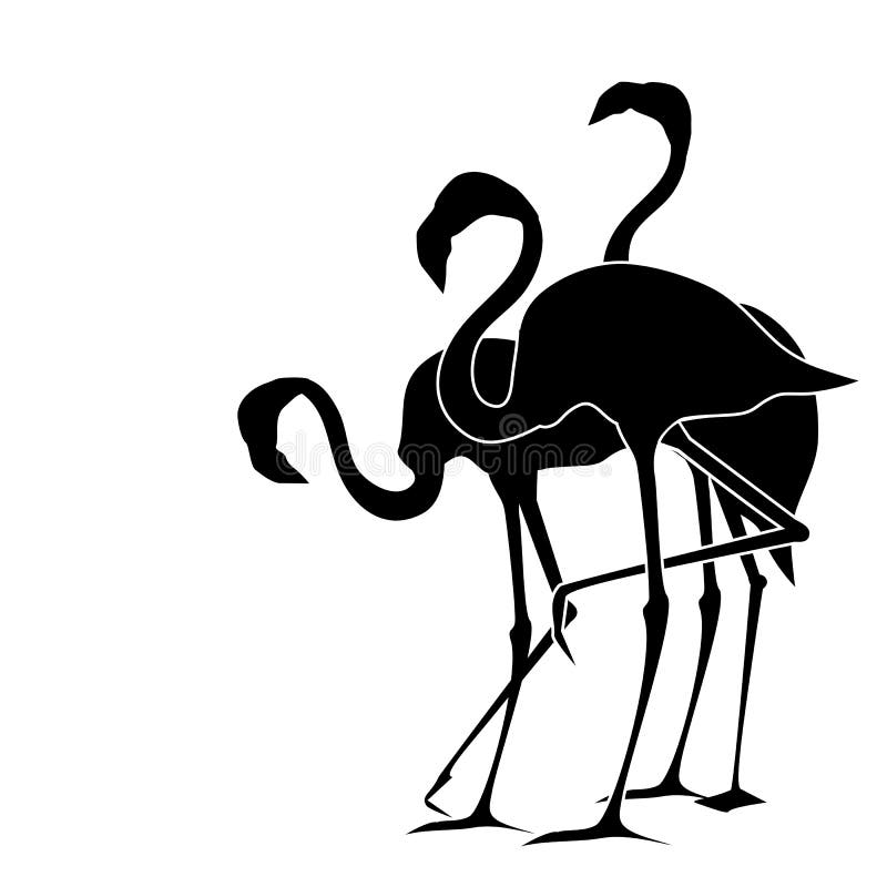 Flamingo Vektor Abbildung Illustration Von Muster Vektor