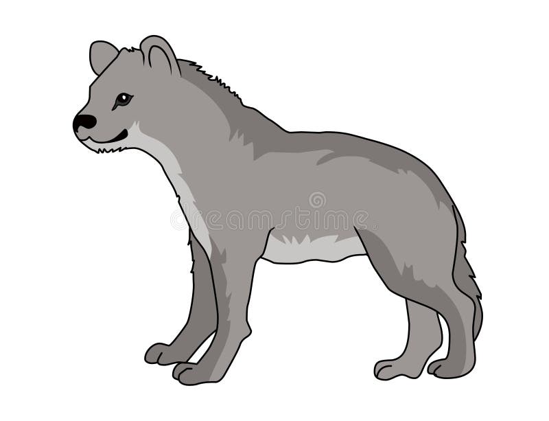Vektorillustration för prickig hyena Bild för hyenavektormateriel royaltyfri illustrationer Vektorillustration för prickig hyena Bild för hyenavektormateriel royaltyfri illustrationer