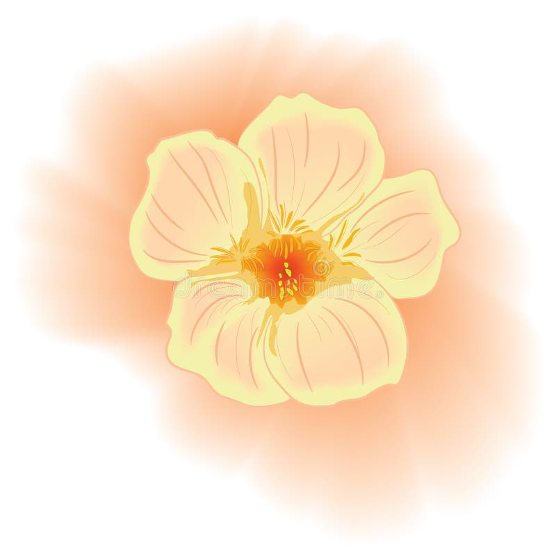 Vektorleichte rosafarbene Blume. Watercolourart lizenzfreie abbildung Vektorleichte rosafarbene Blume. Watercolourart lizenzfreie abbildung