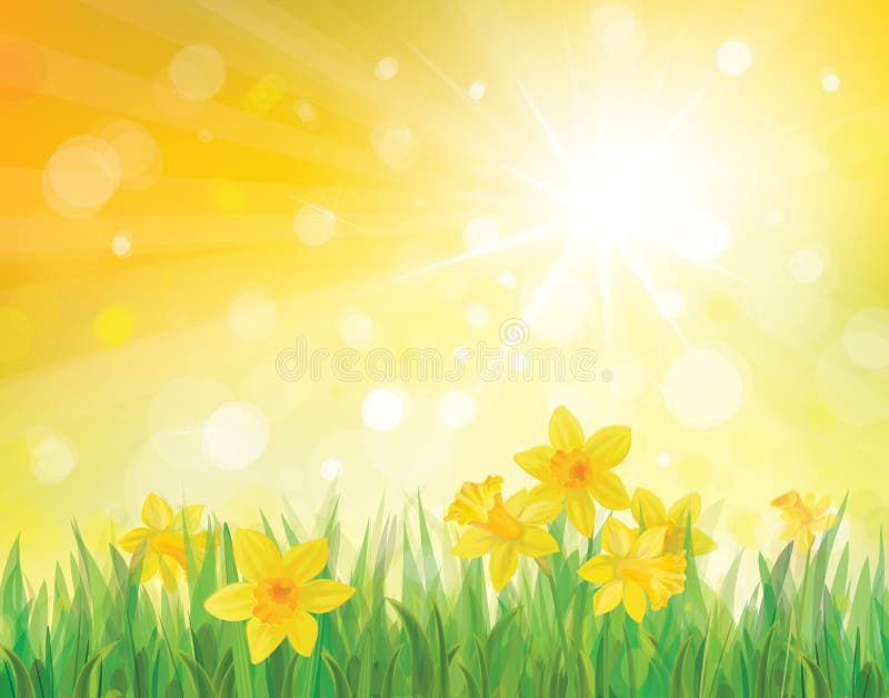 Vektorn av påskliljan blommar på vårbakgrund. stock illustrationer Vektorn av påskliljan blommar på vårbakgrund. stock illustrationer