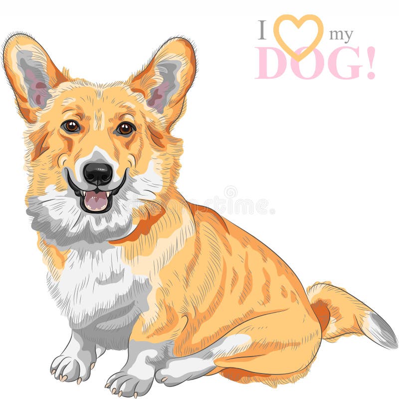 Vektorn skissar att le för den hundPembroke Welsh corgien stock illustrationer Vektorn skissar att le för den hundPembroke Welsh corgien stock illustrationer