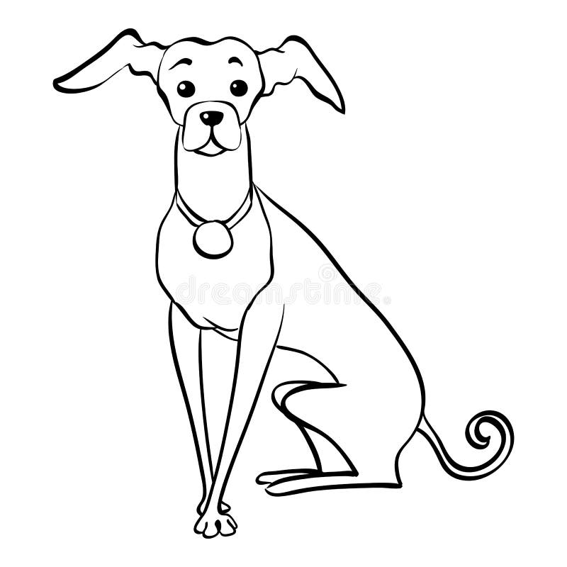 Vektorn skissar roligt hundsammanträde för italiensk vinthund vektor illustrationer Vektorn skissar roligt hundsammanträde för italiensk vinthund vektor illustrationer