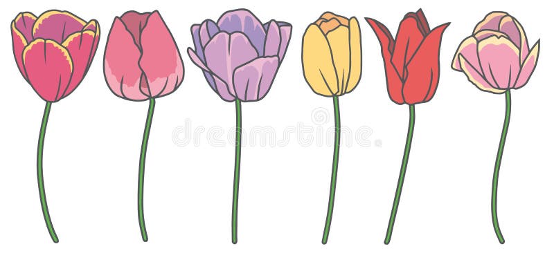 Vektorsamlingsuppsättning med 6 härliga utdragna blommor för tecknad filmtulpanvår i olika färger royaltyfri illustrationer Vektorsamlingsuppsättning med 6 härliga utdragna blommor för tecknad filmtulpanvår i olika färger royaltyfri illustrationer