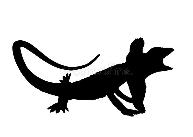 Frilled lizard vector silhouette illustration isolated on white background. Chlamydosaurus kingii symbol. Frill Dragon Neck. Frilled lizard vector silhouette illustration isolated on white background. Chlamydosaurus kingii symbol. Frill Dragon Neck.