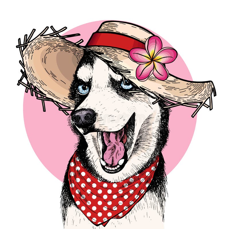 Vektorstående av den Siberian skrovliga bärande sugrörhatten för hund, blomman och prickbandanaen Sommarmodeillustration Hand vektor illustrationer Vektorstående av den Siberian skrovliga bärande sugrörhatten för hund, blomman och prickbandanaen Sommarmodeillustration Hand vektor illustrationer