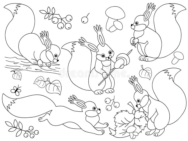 Vektoruppsättning av gulliga tecknad filmekorrar vektor illustrationer Vektoruppsättning av gulliga tecknad filmekorrar vektor illustrationer