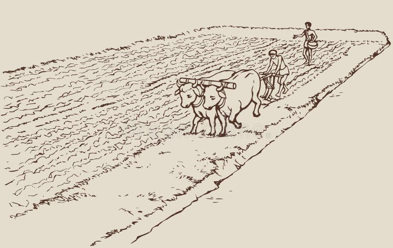 Vektorzeichnung. Ursprüngliche Landwirtschaft. Bauern tr